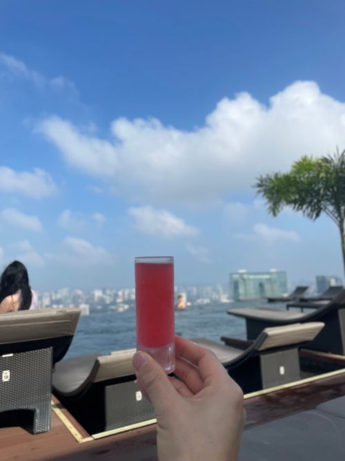 日陰で涼んでいたら、ブラッドオレンジジュースやマンゴージュースが配られました。見ている大人も満喫できます。