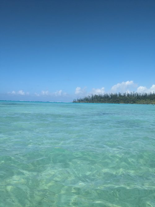 ピッシングナチュレの景色です