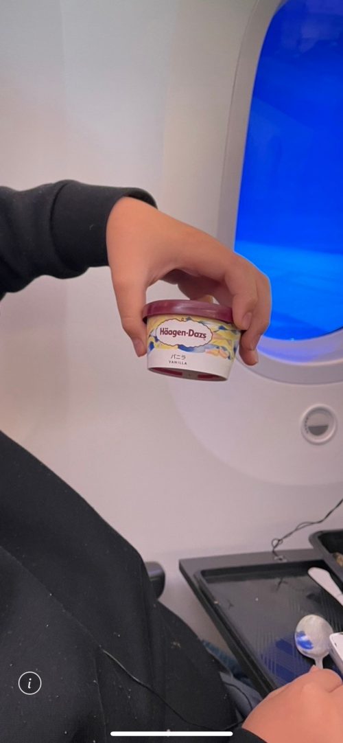 デザートのハーゲンダッツ