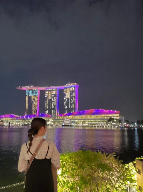 テイラー仕様のライトアップ