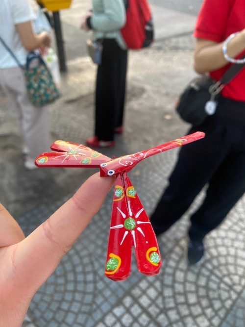 ベトナムの可愛い竹トンボ