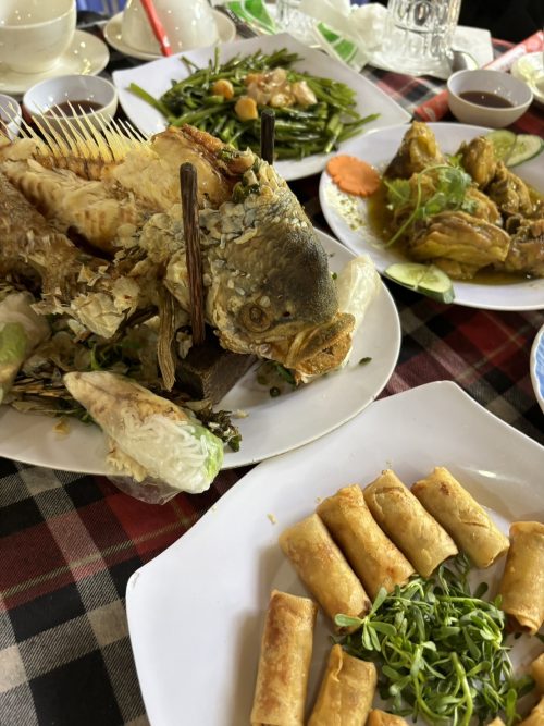 ランチでいただいたメコン名物料理