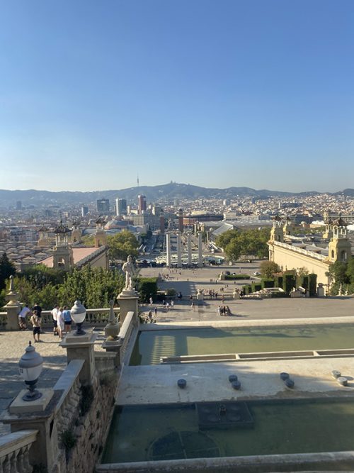 美術館からの景色