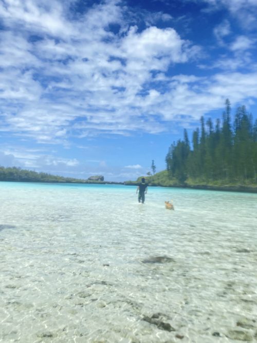 ピッシング・ナチュレル