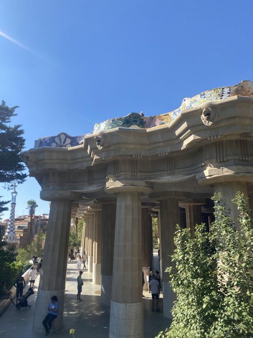 広い公園でした