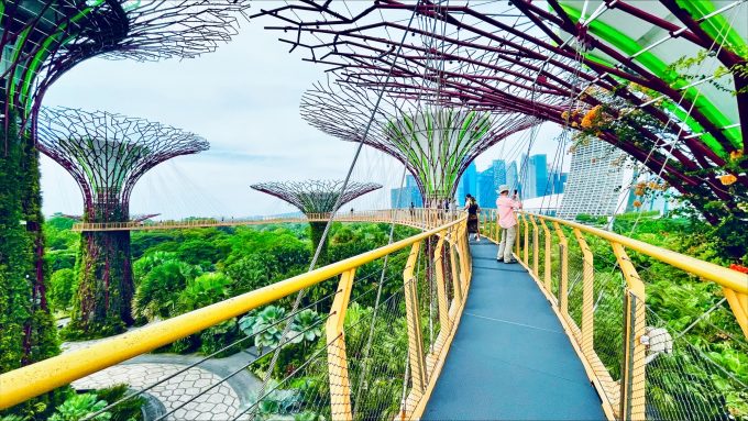 スカイウォーク