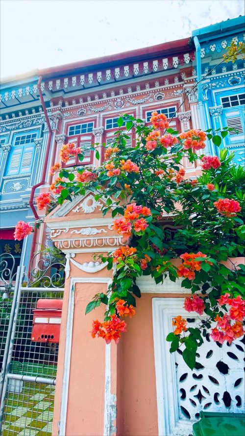 カトン地区のプラナカン建築