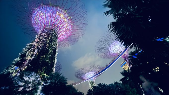 夜のガーデンズ・バイ・ザ・ベイ