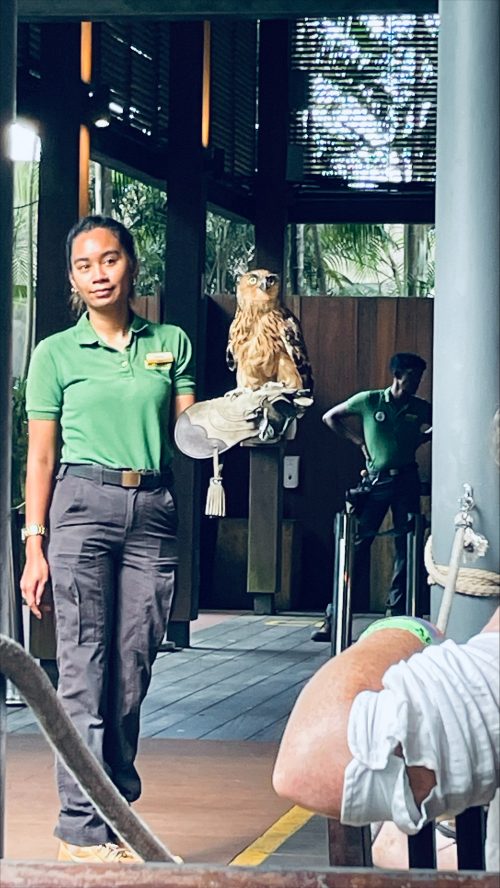 シンガポール動物園の朝食ツアーにて