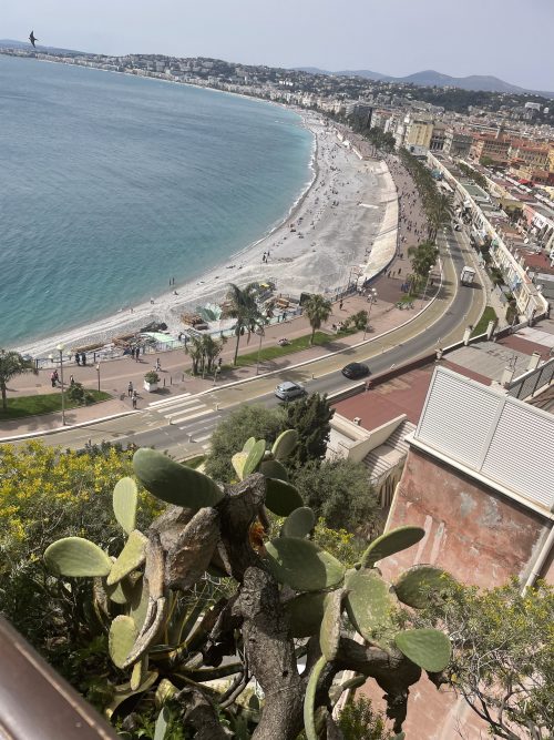 展望台から見える美しい景色