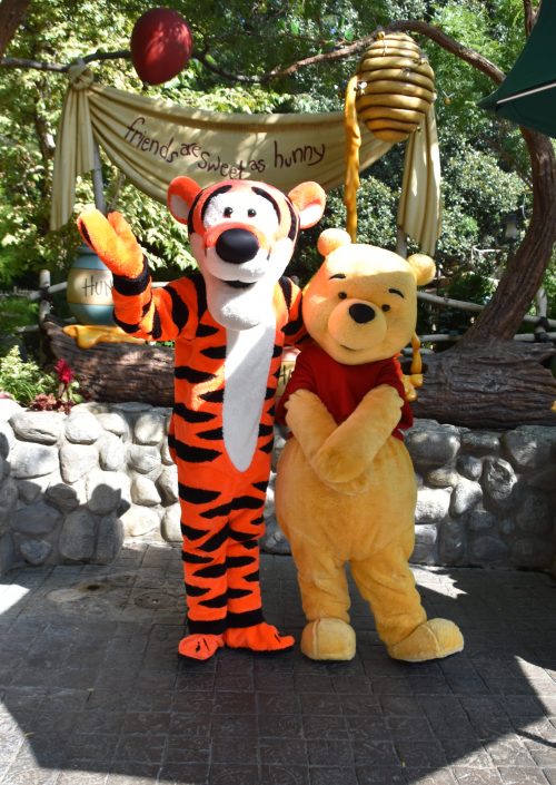 クリッターカントリーにてプーさん・ティガーとグリーティング