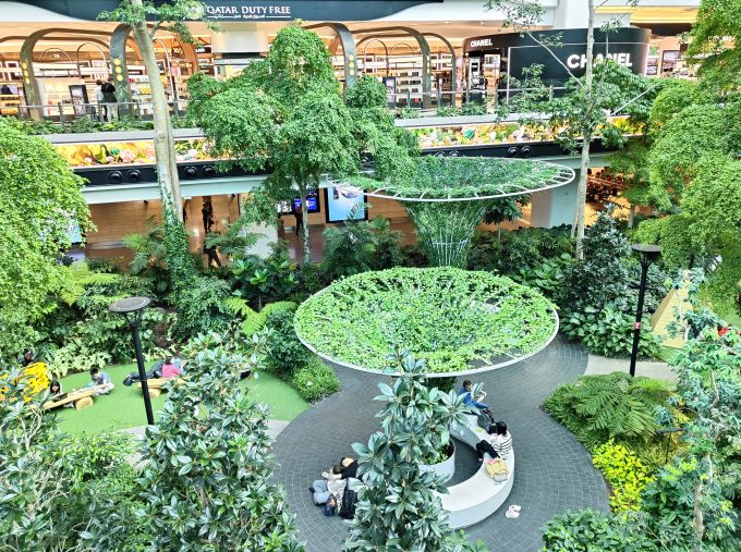 ハマド国際空港の植物園