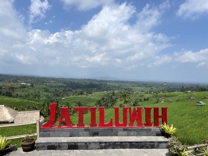 ジャティルイ・ライステラス