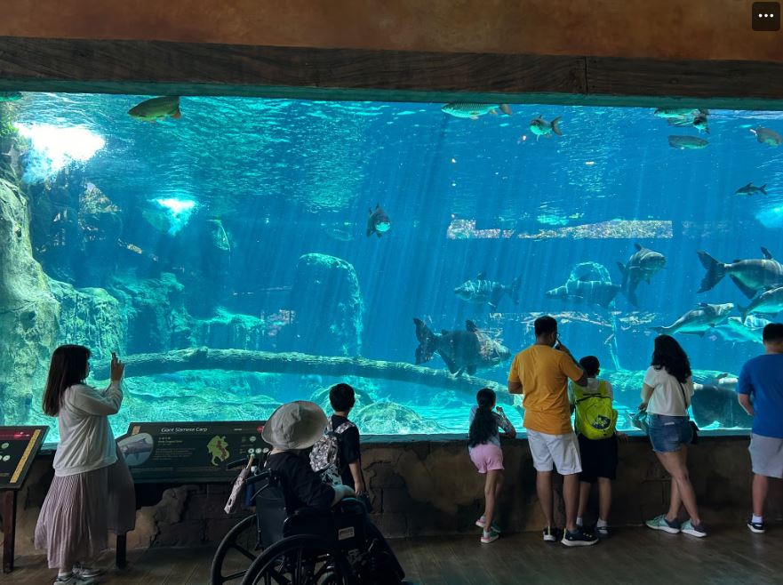 リバーワンダーズ