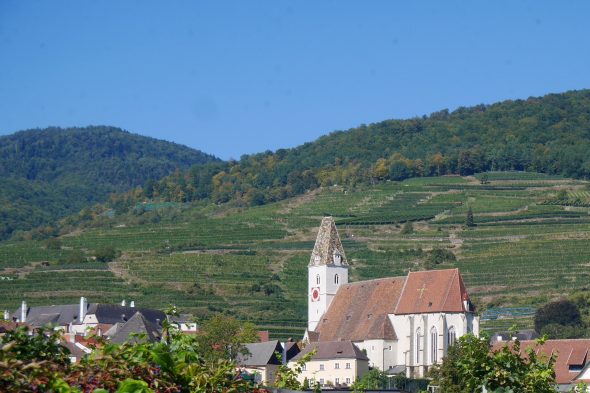 バッハウ渓谷のブドウ畑