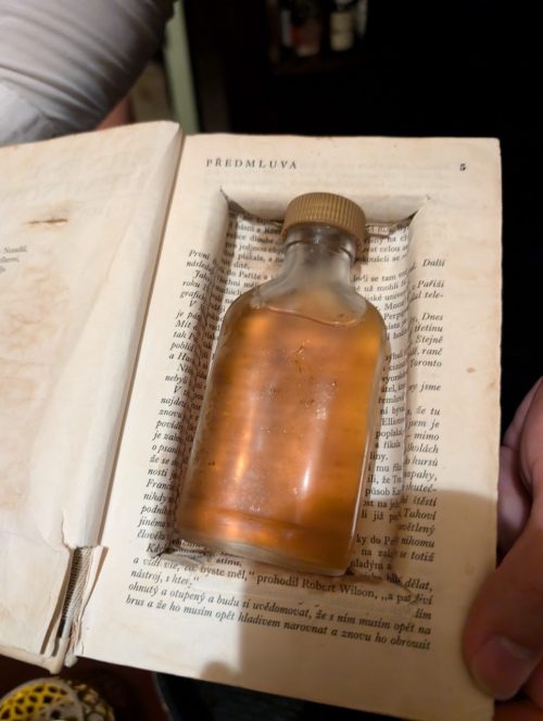 本に挟まれて出てきたラム