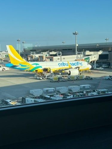 セブパシフィック航空