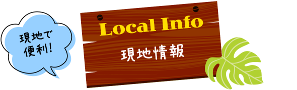 現地情報