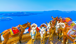 街並が美しい島の中心地 フィラ