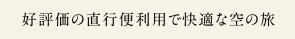 好評価の直行便利用で快適な空の旅