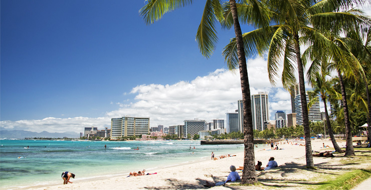 プラン2.日本語ドライバーが同行で、自由に行きたい所だけを観光♪