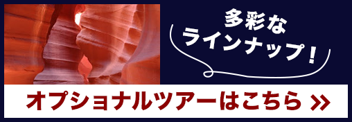 オプショナルツアーはこちら