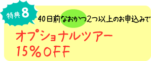 特典8 40日前なおかつ2つ以上のお申込みでオプショナルツアー15%OFF