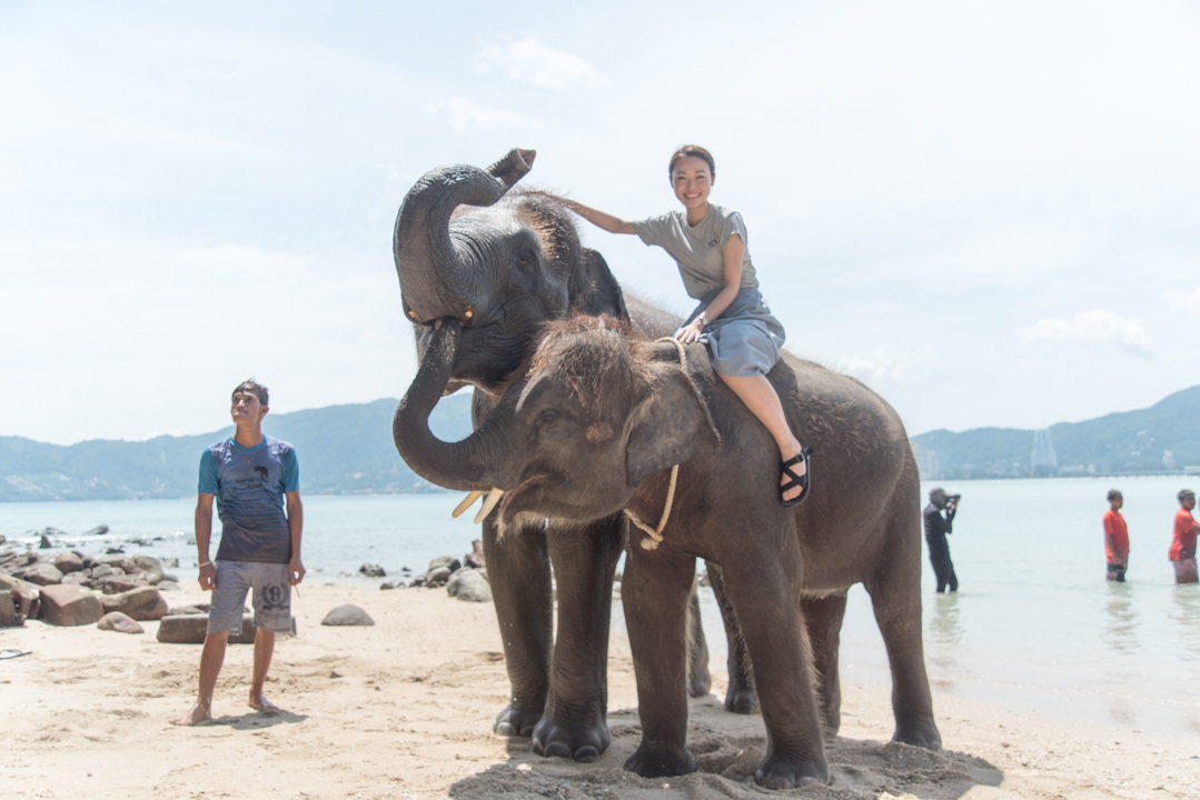 プーケット最新観光 海で象乗り 象遊びをしよう トリトランビーチで象と写真を撮れるツアー体験記 海外旅行 海外ツアーはトラベル スタンダード ジャパン