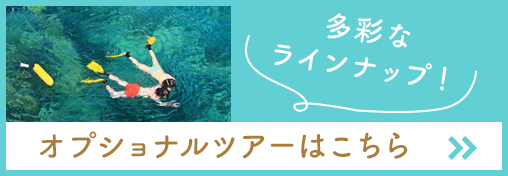 オプショナルツアーはこちら