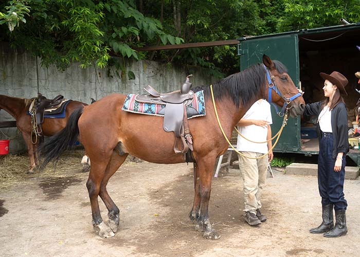 レイクトーヤランチ