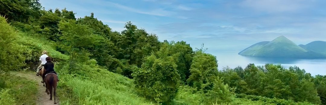 レイクトーヤランチ