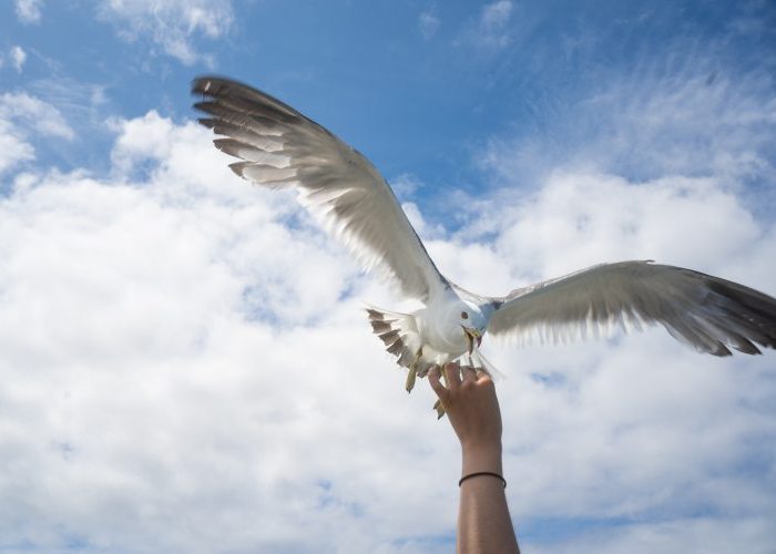 青の洞窟クルーズ