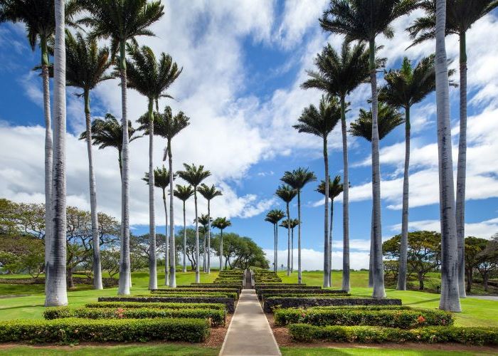 ホテルまでは空港から車で約40分