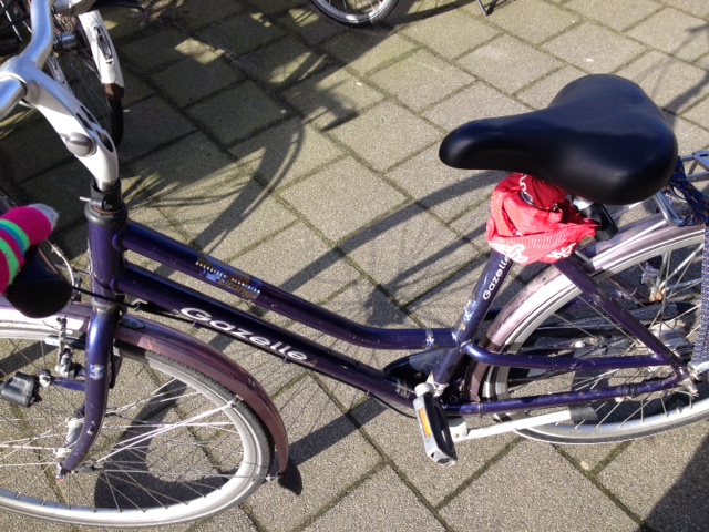 巡るロッテルダム！