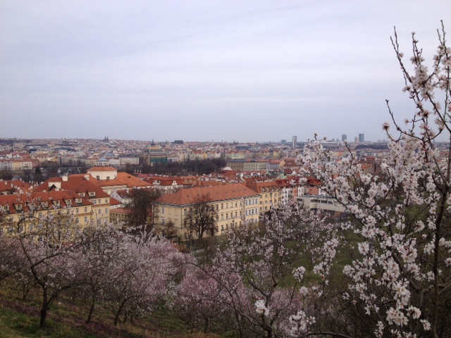 加藤由起さんインタビューをお届け