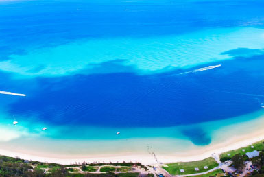 野生のイルカに餌付けが出来る！モートン島