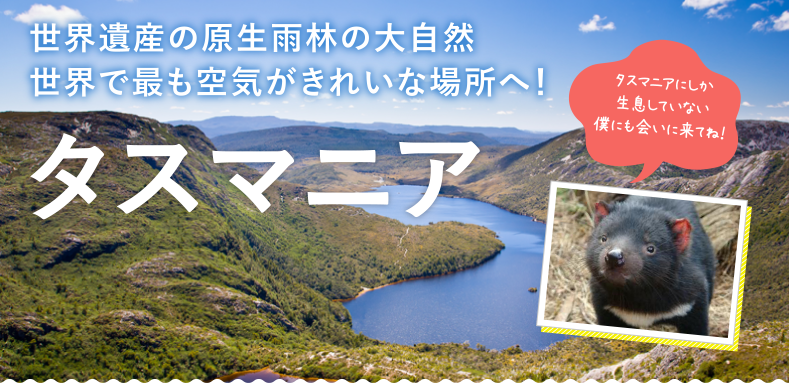 界遺産の原生雨林の大自然　世界で最も空気がきれいな場所へ！　【タスマニア】