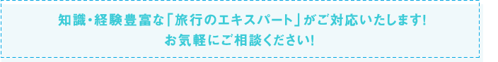 知識・経験豊富な「旅行のエキスパート」がご対応いたします!お気軽にご相談ください!