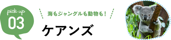 海もジャングルも動物も!ケアンズ