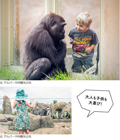 カルガリー動物園