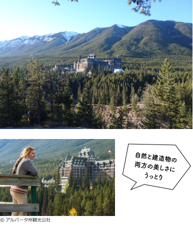 サプライズ・コーナー