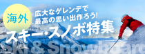 海外　広大なゲレンデで最高の思い出作ろう！　スキー・スノボ特集