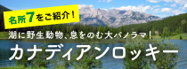 名所７をご紹介！湖に野生動物、息をのむ大パノラマ！カナディアンロッキー