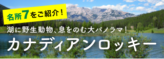名所７をご紹介！湖に野生動物、息をのむ大パノラマ！カナディアンロッキー