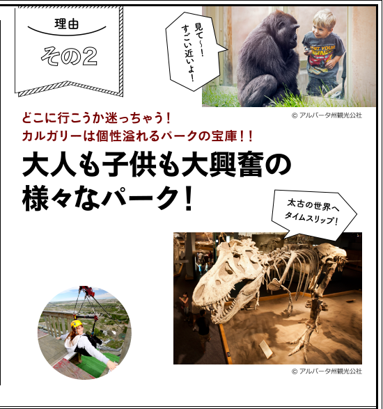 理由その２　どこに行こうか迷っちゃう！カルガリーは個性溢れるパークの宝庫！！大人も子供も大興奮の様々なパーク！