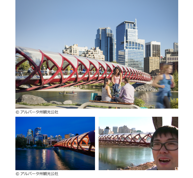 ピース・ブリッジ