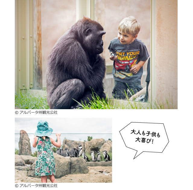 カルガリー動物園