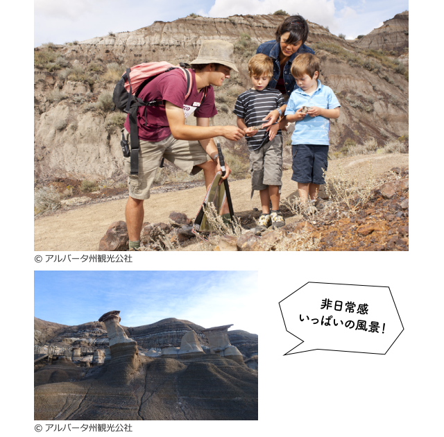 州立恐竜公園（ダイナソール州立公園）