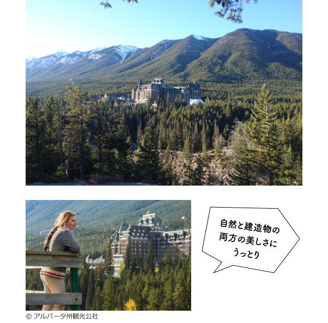 サプライズ・コーナー