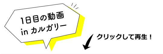 1日目の動画inカルガリー